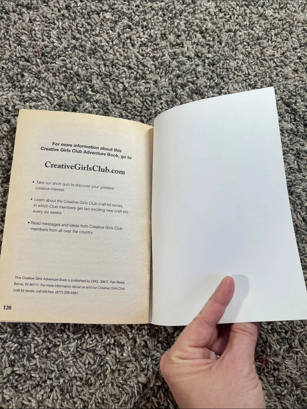 Book: Wellspring of Magic by Jan Fields creative girls club adventure book
